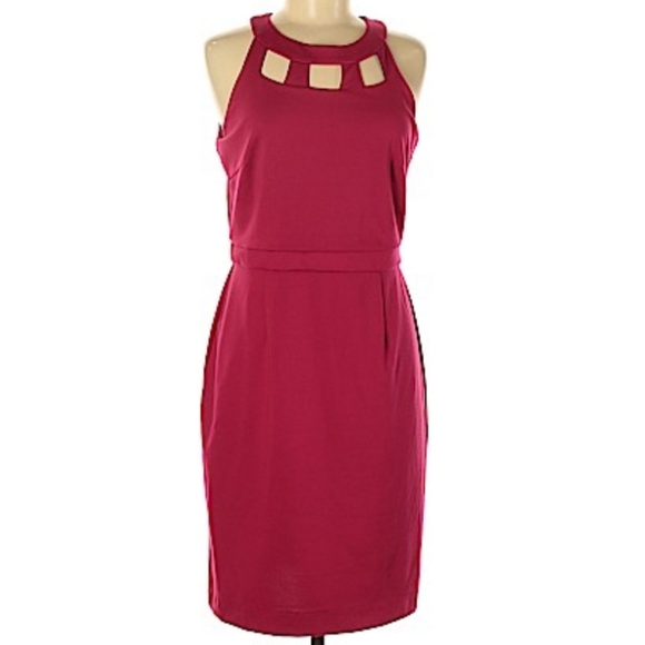 Banana Republic Factory Dresses & Skirts - Banana Republic Dark Pink Cut Out Sheath Dress 10